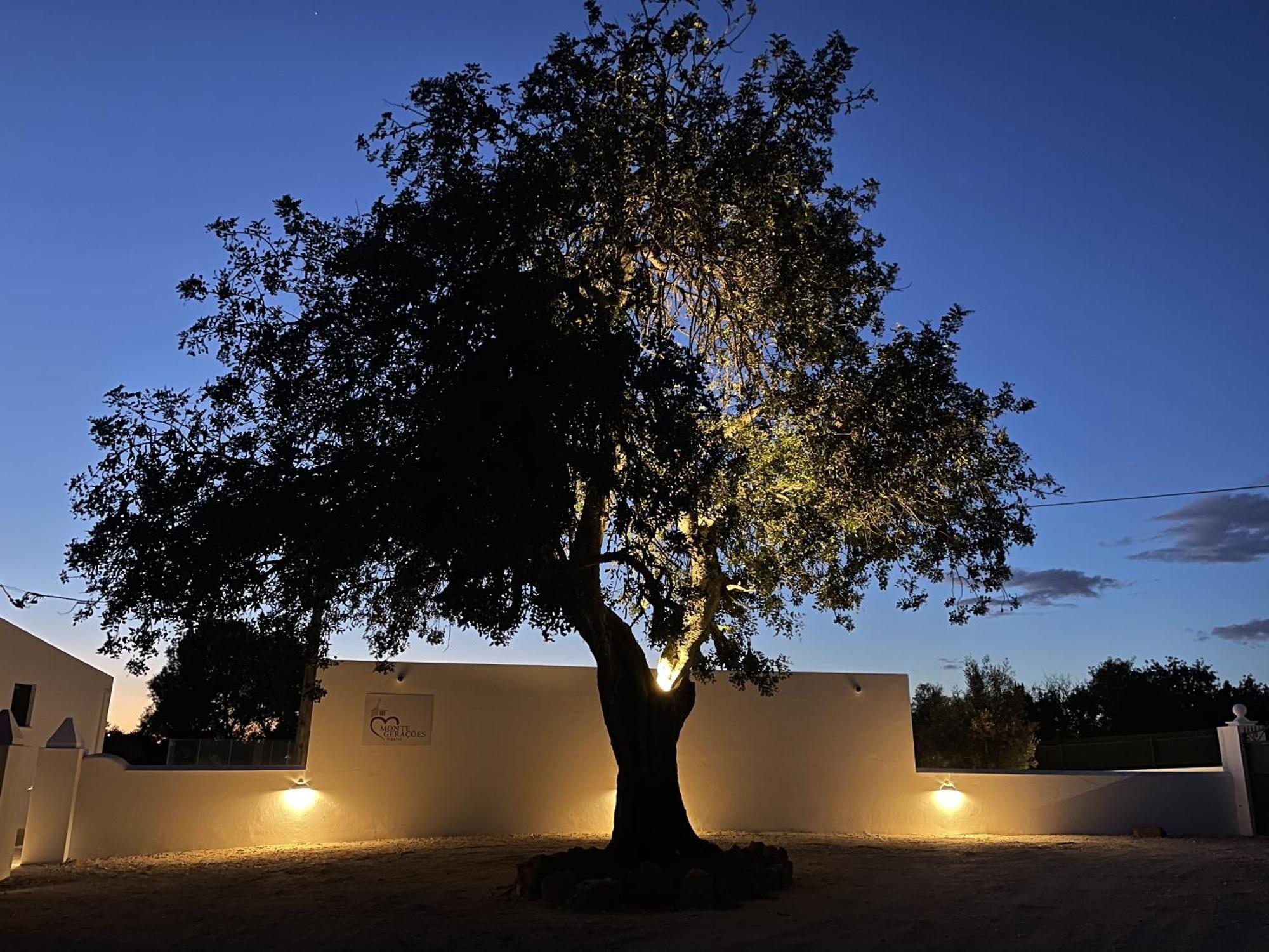 Monte Geracoes - Heated Pool - Typical Algarvian - Close To Quinta Lago, Vale Lobo And Vilamoura Almancil Exteriör bild